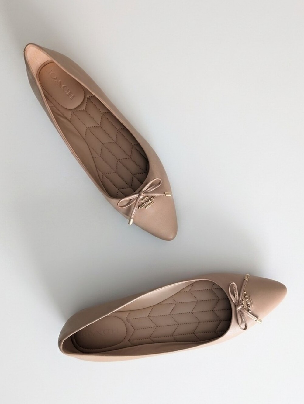 COACH Annabel Blush Nude Pointed-Toe Ballet Flats with Bow Accent Beechwood